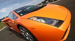 LAMBO gde.jpg