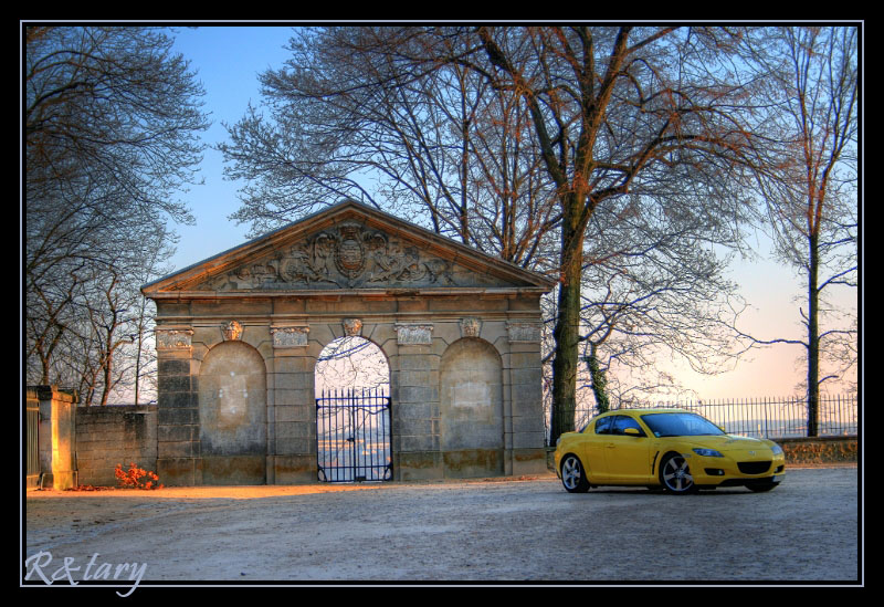 IMG_5430_1_2-border.jpg