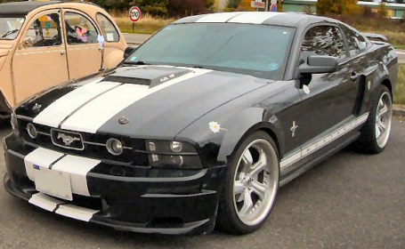 p1000910 resize.jpg