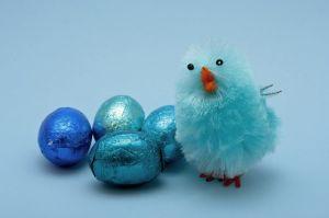 poussin_bleu.jpg