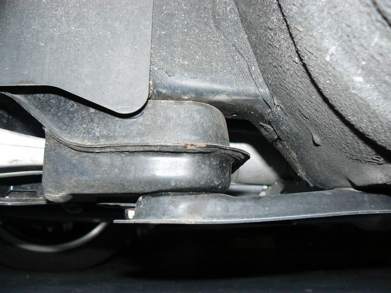 P1010755_.jpg