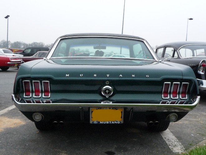 P1000654-500.JPG