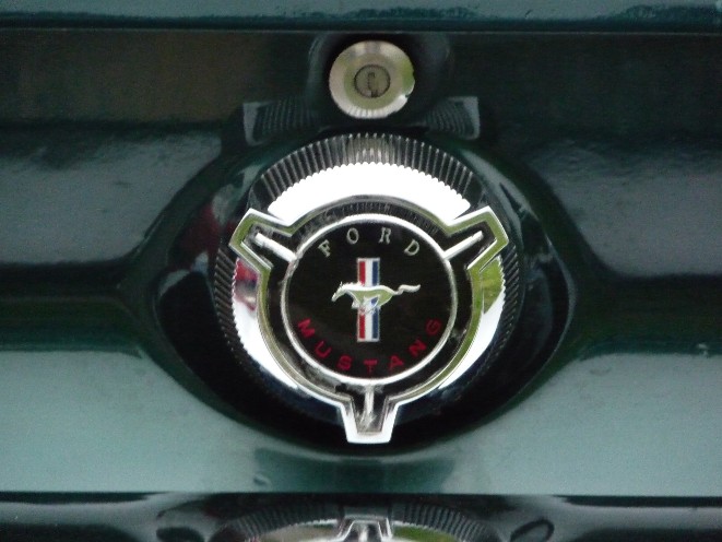 P1000656-500.JPG
