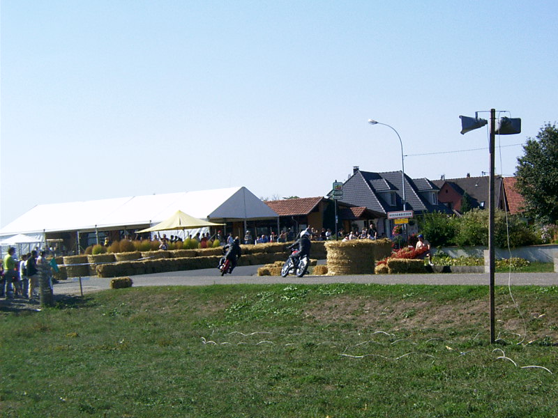 IMAG0010.JPG