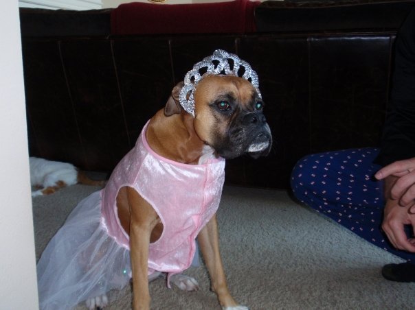 princesser.jpg