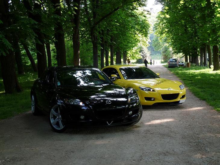 NOIR ET JAUNE 1.jpg
