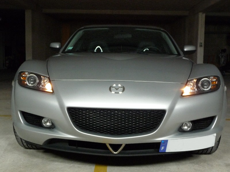 P1000886a.JPG