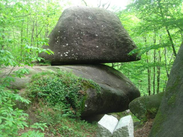 DSC04637.JPG