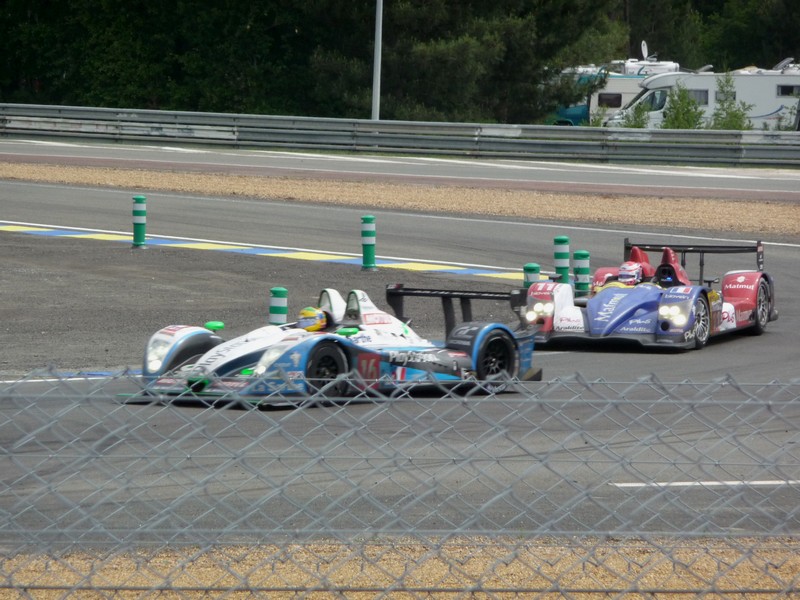 P1010409-800.jpg