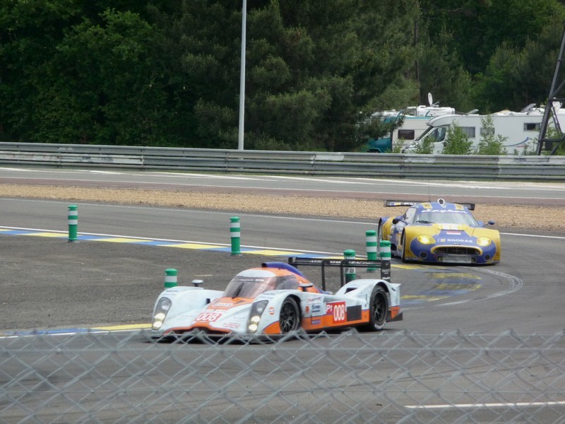 P1010406-800.jpg