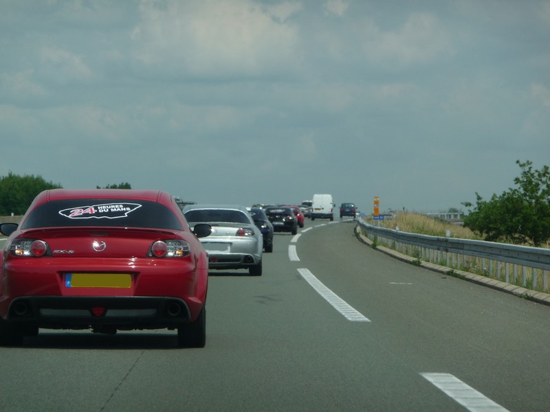 P1010442-800.jpg