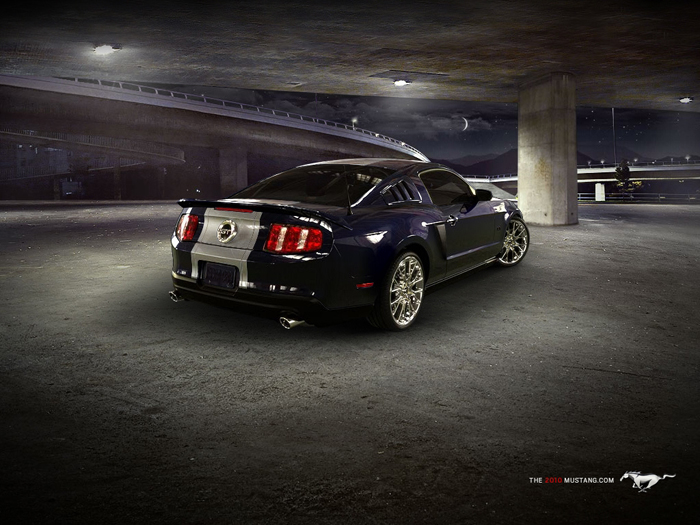 mustang_2010_back.jpg