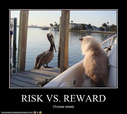 funny-pictures-cat-watches-bird.jpg