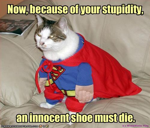 funny-pictures-cat-will-kill-an-innocent-shoe.jpg