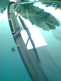 IMG0137A.jpg