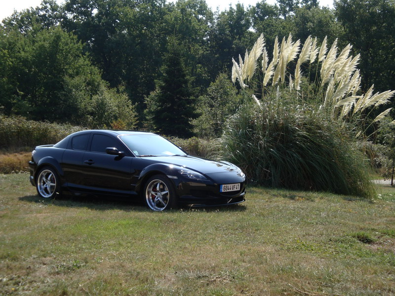 vitre black 2.jpg