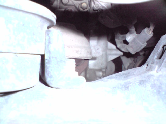P070909_16.02[02].JPG