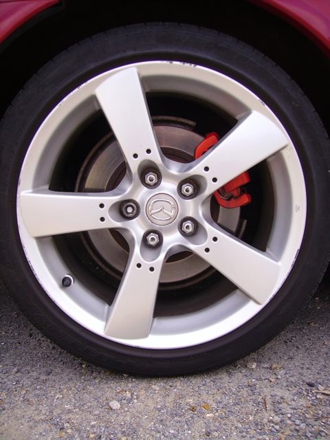 IMGP1291.jpg