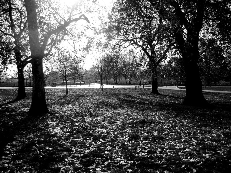 Hyde Park