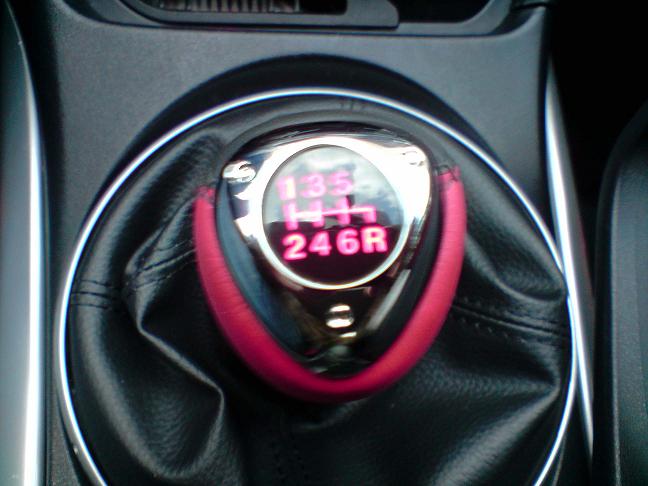 P310109_14.22.JPG