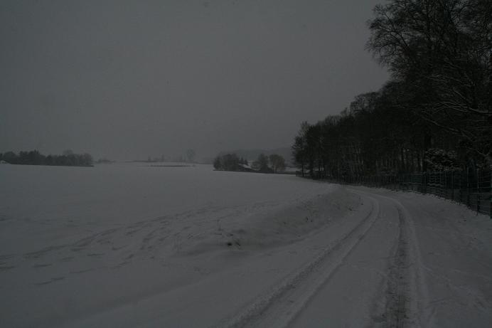 small Decembre 09 055.jpg