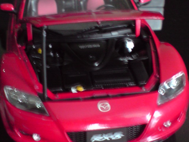 P251209_10.04.JPG