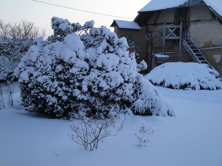 DSC00418.jpg