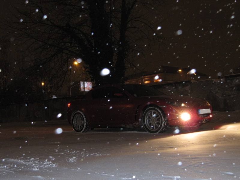 IMG_30338x6.JPG