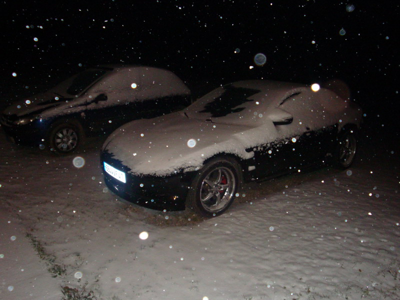 DSC01095.jpg