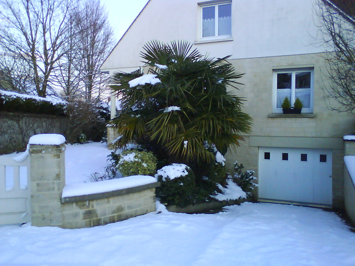DSC00126_PJ.jpg