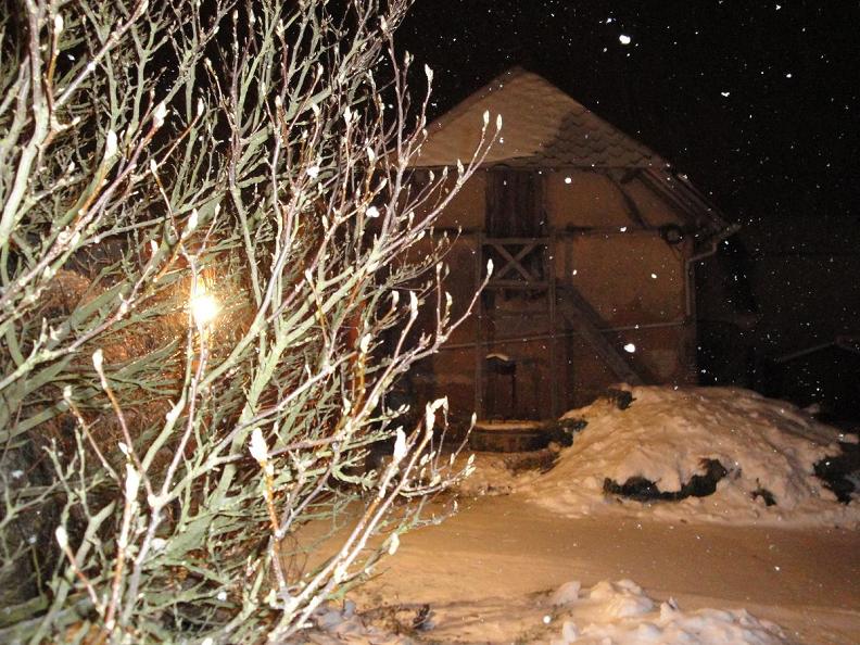 dsc00494_444[1].jpg