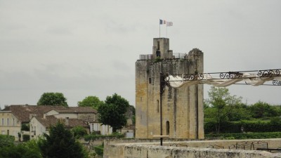 DSC00180.JPG