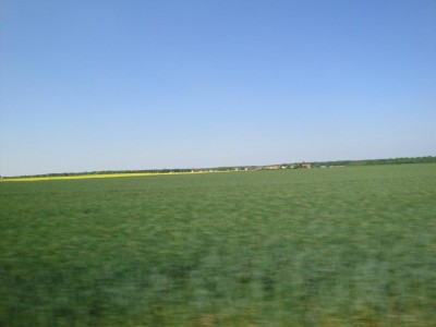 DSC01319.jpg