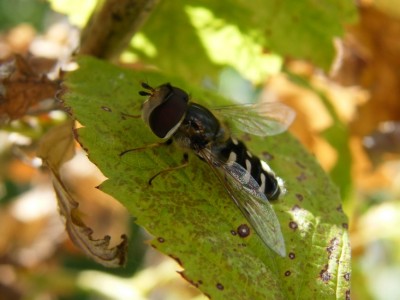 2008_07200053.JPG