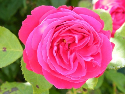 2008_07200056.JPG