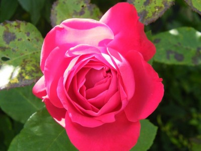 2008_07200057.JPG