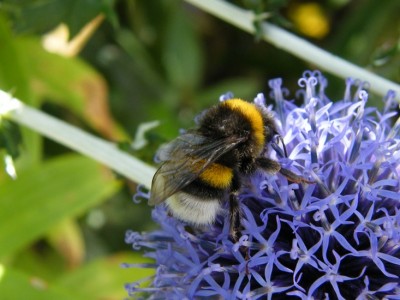2008_07200058.JPG
