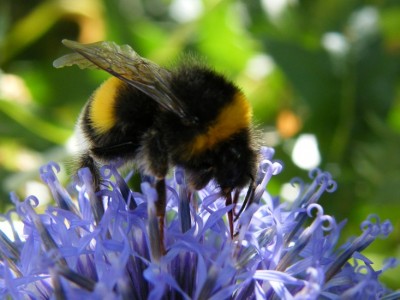 2008_07200059.JPG