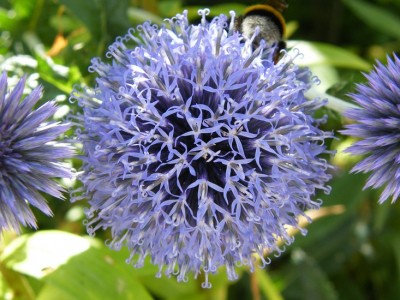 2008_07200061.JPG