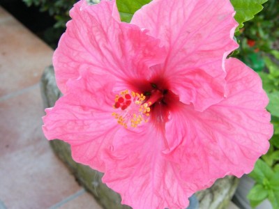 2008_07200072.JPG
