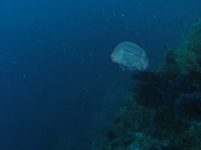 PICT0023.JPG