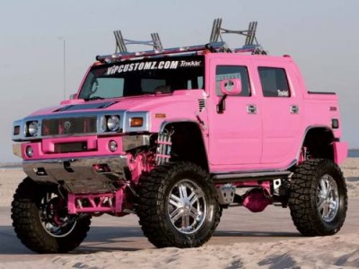 pink_hummer.jpg