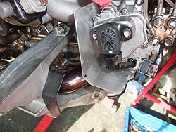 img_100112up-3.jpg