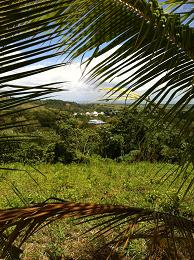 petite visite dans l'une des plus grosse distillerie de rhum