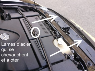 Lamelles moteur.jpg (178.48 Kio) Consulté 25319 fois Se dévoile le picot de centrage du parechoc au centre des deux lamelles