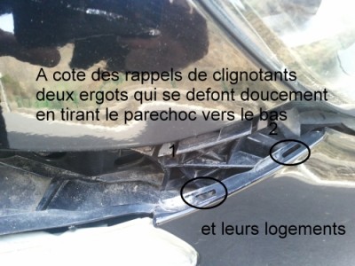 Ergots de Cligno.jpg (170.97 Kio) Consulté 26963 fois ils sont au nombre de 2