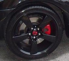 DSCF3955.JPG