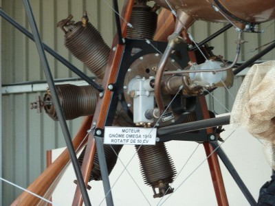 P1000527.JPG