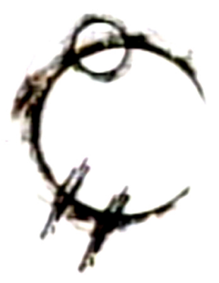 sans titre2.png