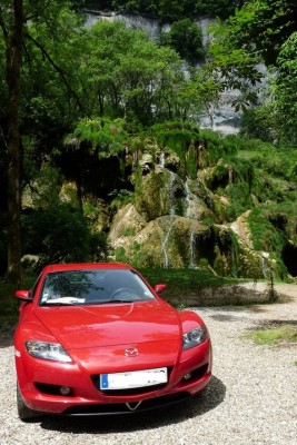 une belle rouge, face à une cascade de verdure
